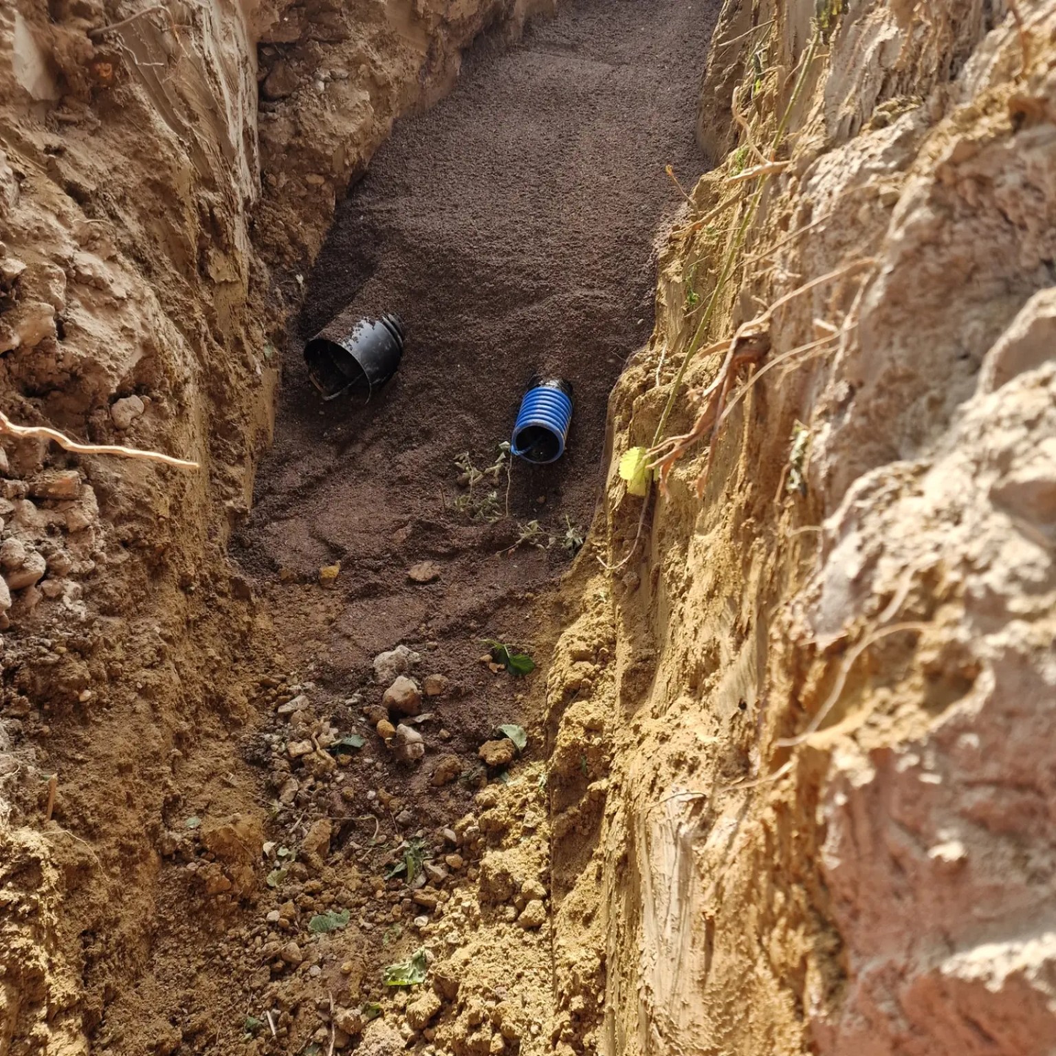 Ducts and selected bedding